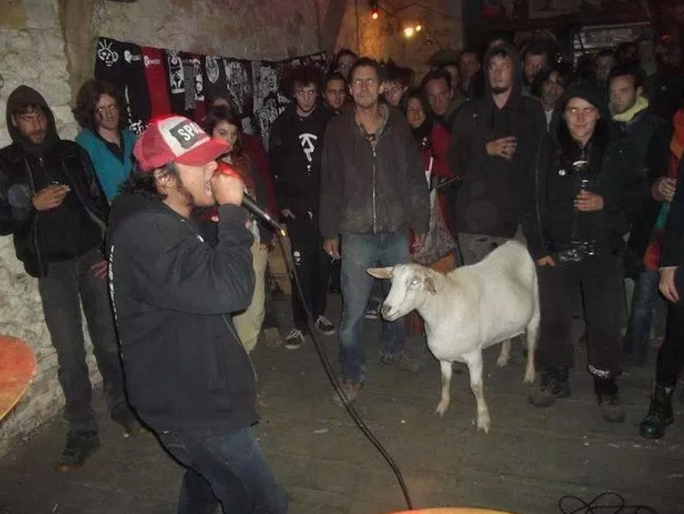 music goat
