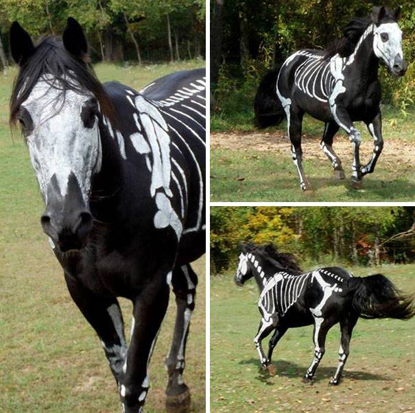horse skeleton costume 