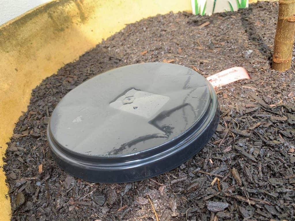 Compost bin lid