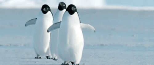 penguin waddle