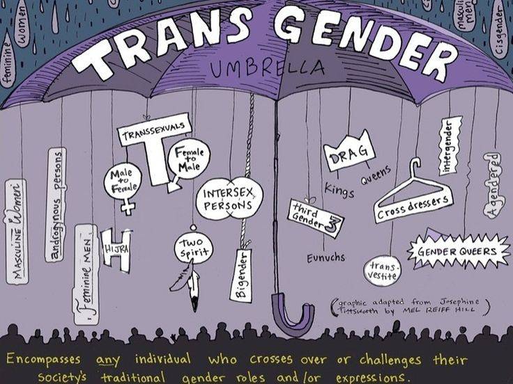 transgender umbrella