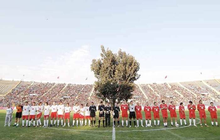 Chile national stadium tree