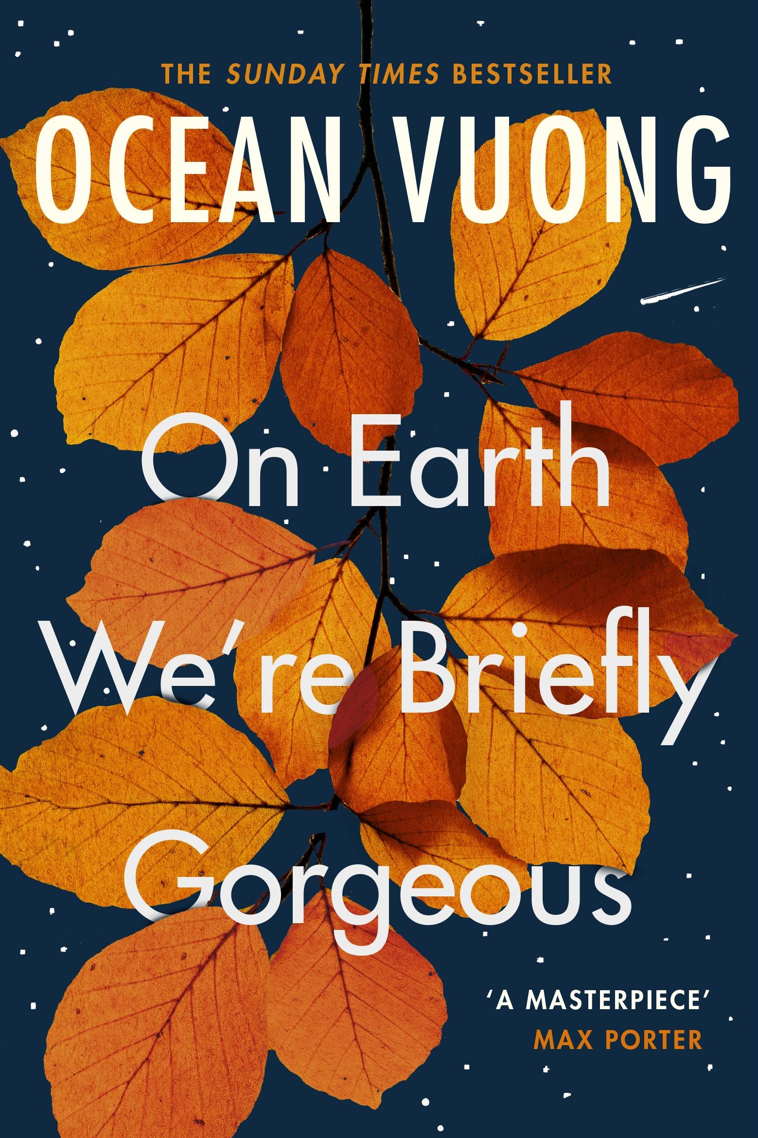 Ocean Vuong's On Earth We're Briefly Gorgeous