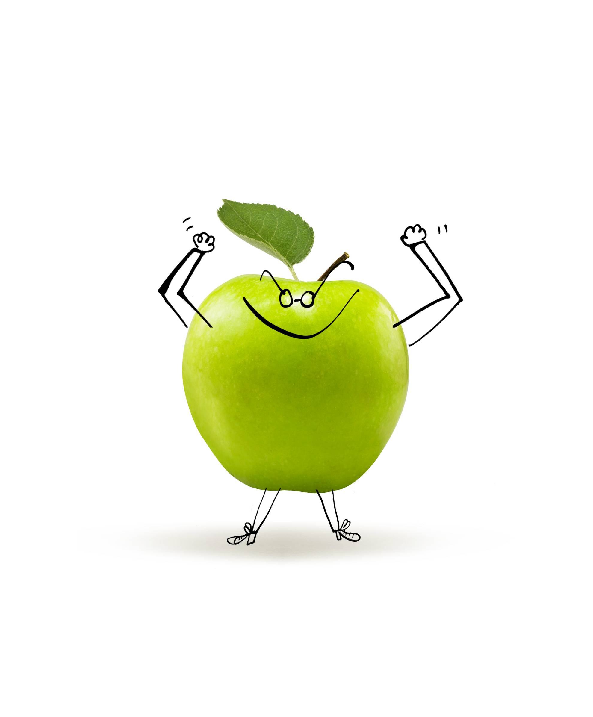 An illustration of an apple