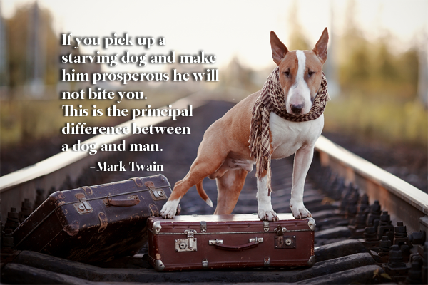 Mark Twain Dog Quote