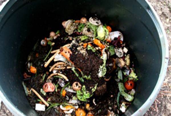Start Composting